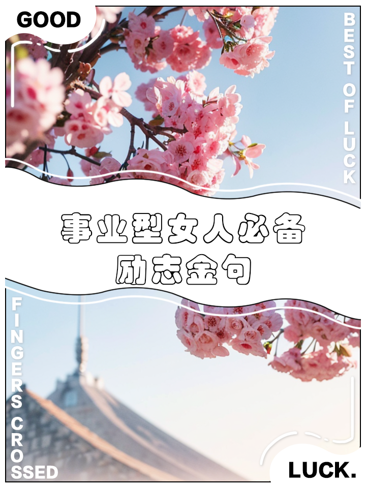 形容职业女强人的成语