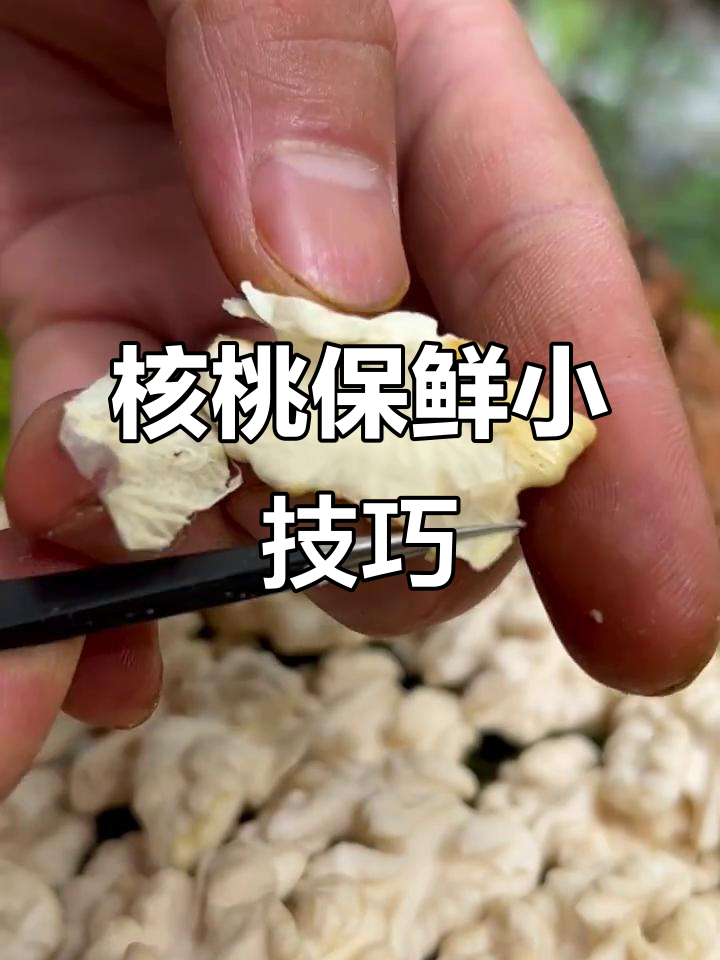 核桃去皮方法步骤