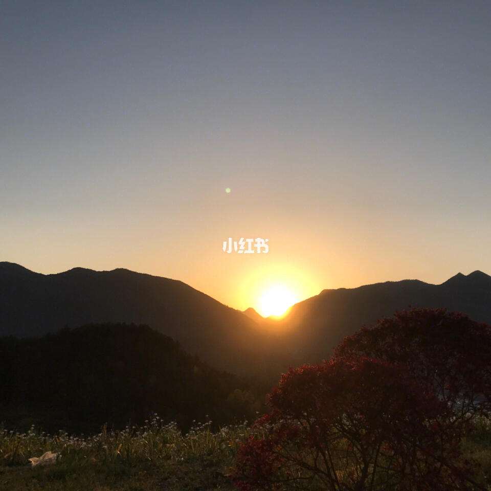 回首昔日是什么意思