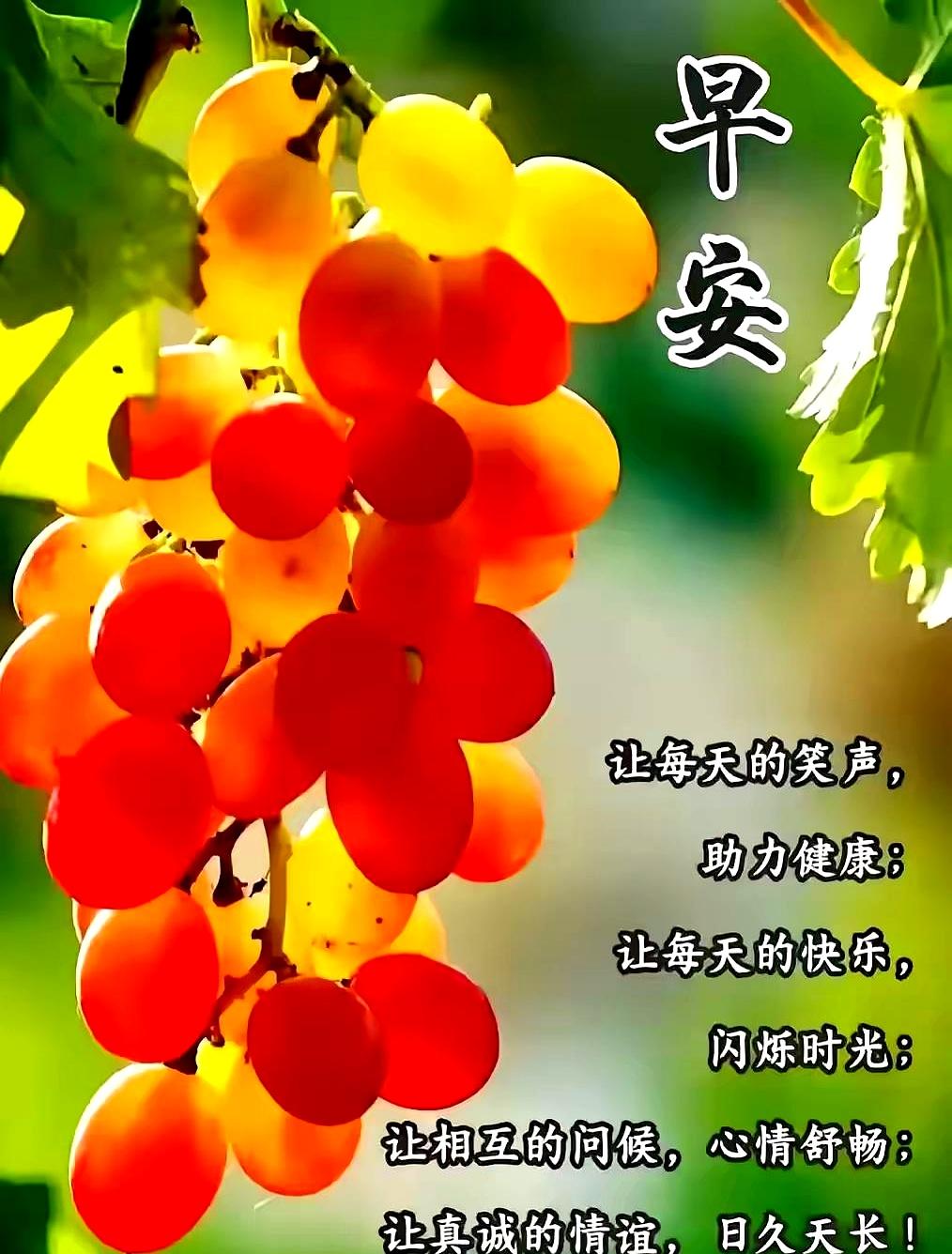 每天清晨寄语正能量一句话