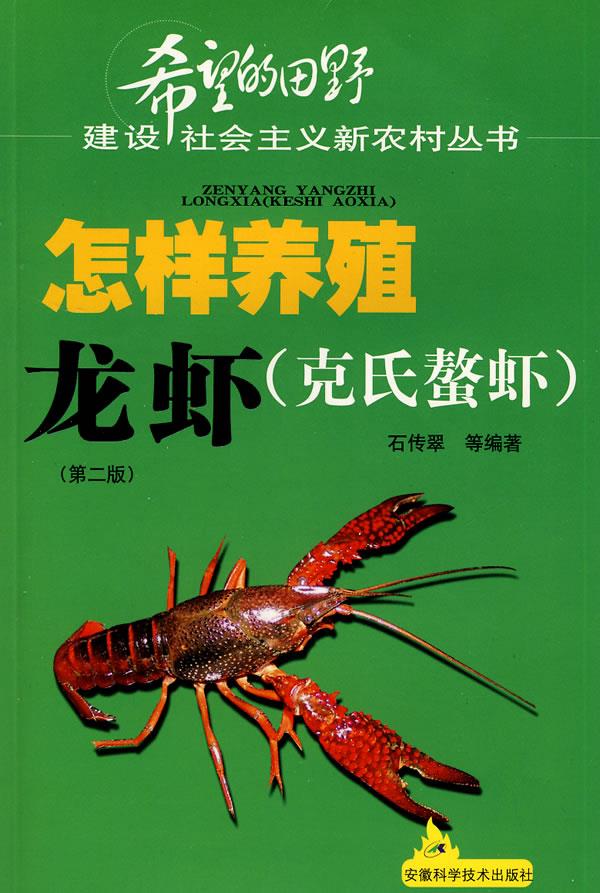 龙虾怎么在家养活吃什么