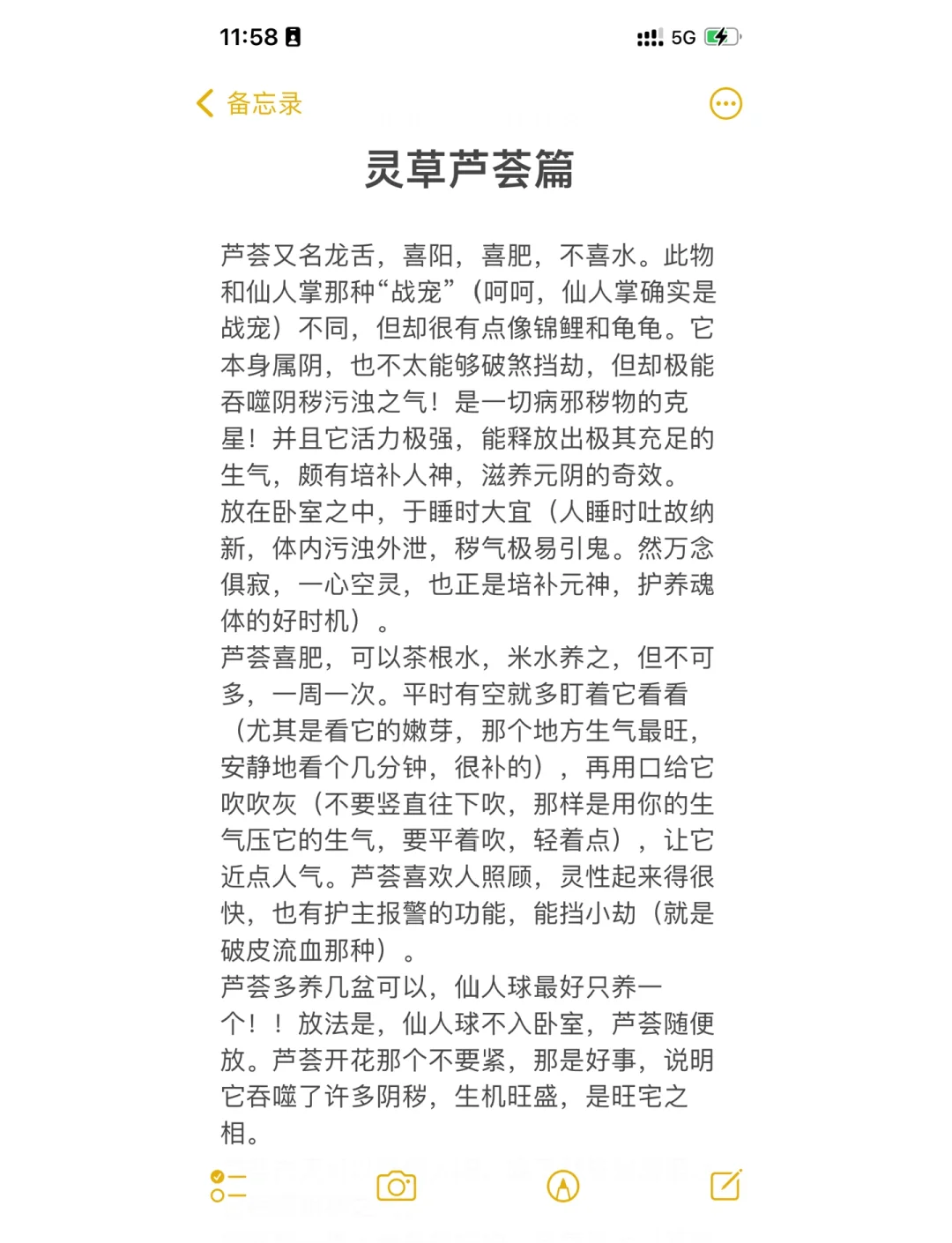 芦荟的功效与作用禁忌