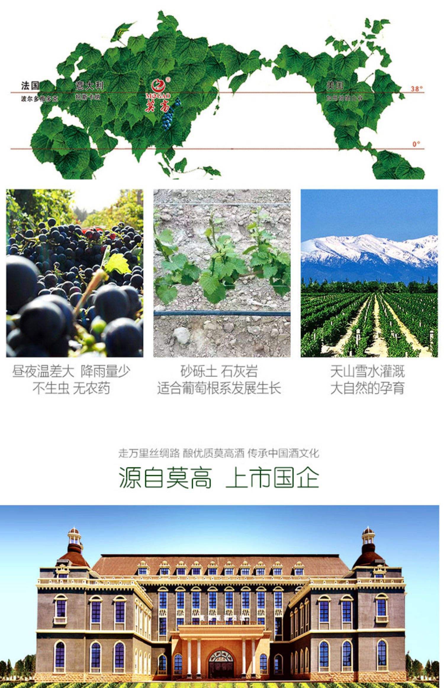 冰葡萄功效与作用是什么