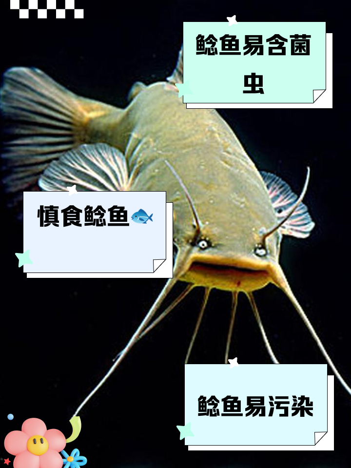 埃及鲶鱼和塘鲺的区别