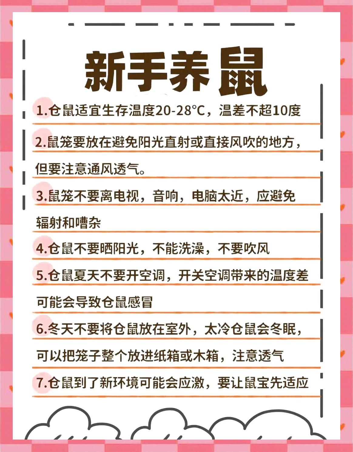 仓鼠怎么养才乖