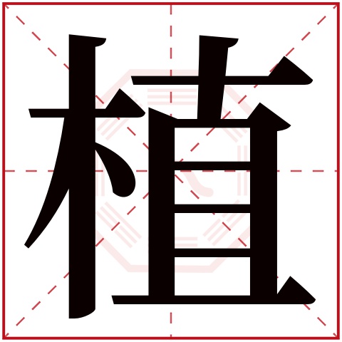 桐字五行属什么