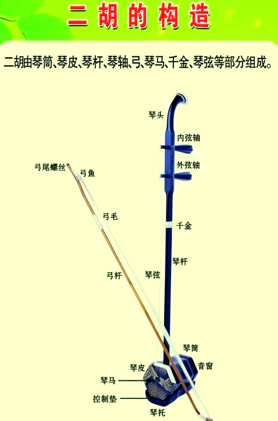 二胡好学吗能自学吗
