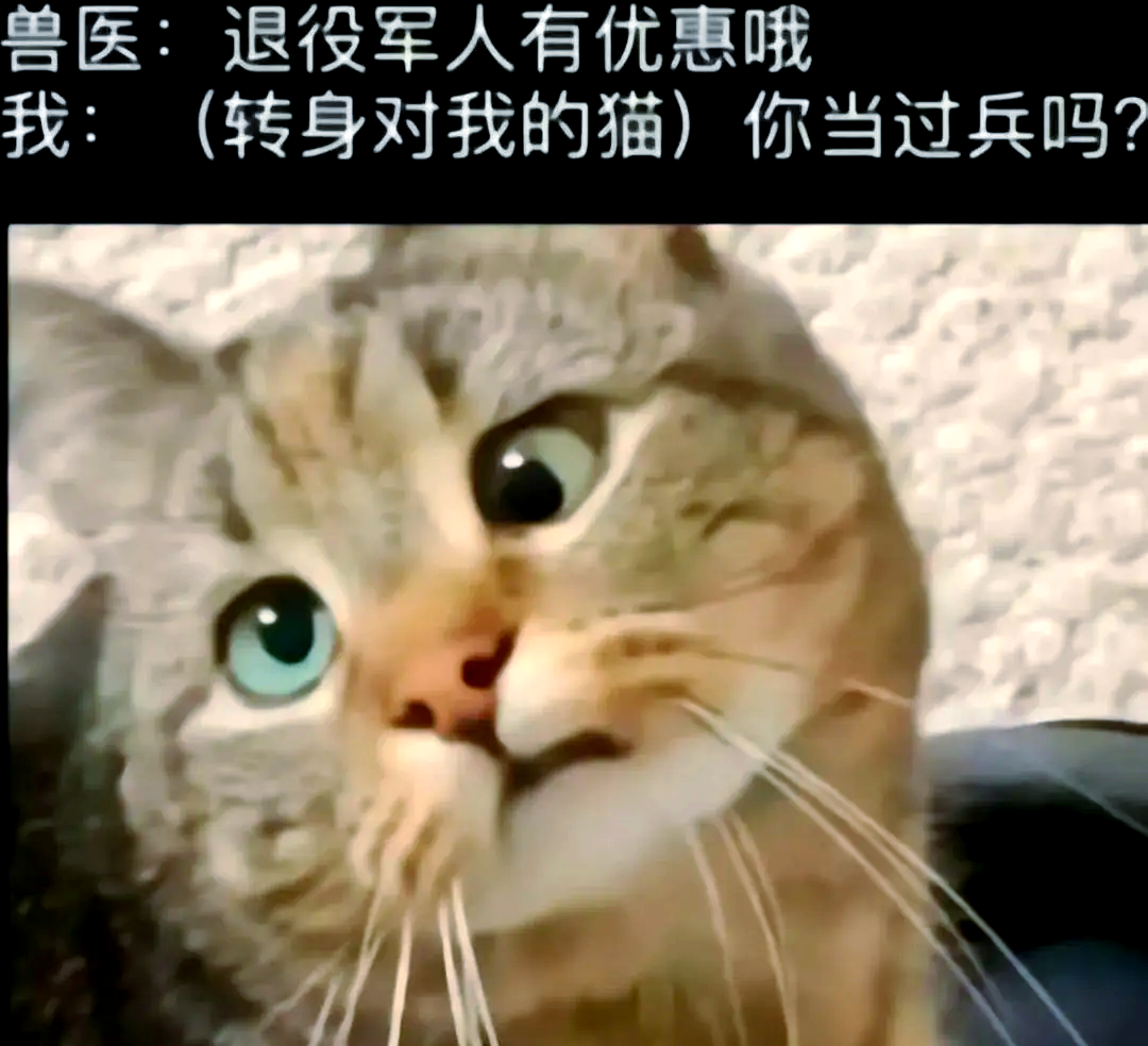 吸猫是啥