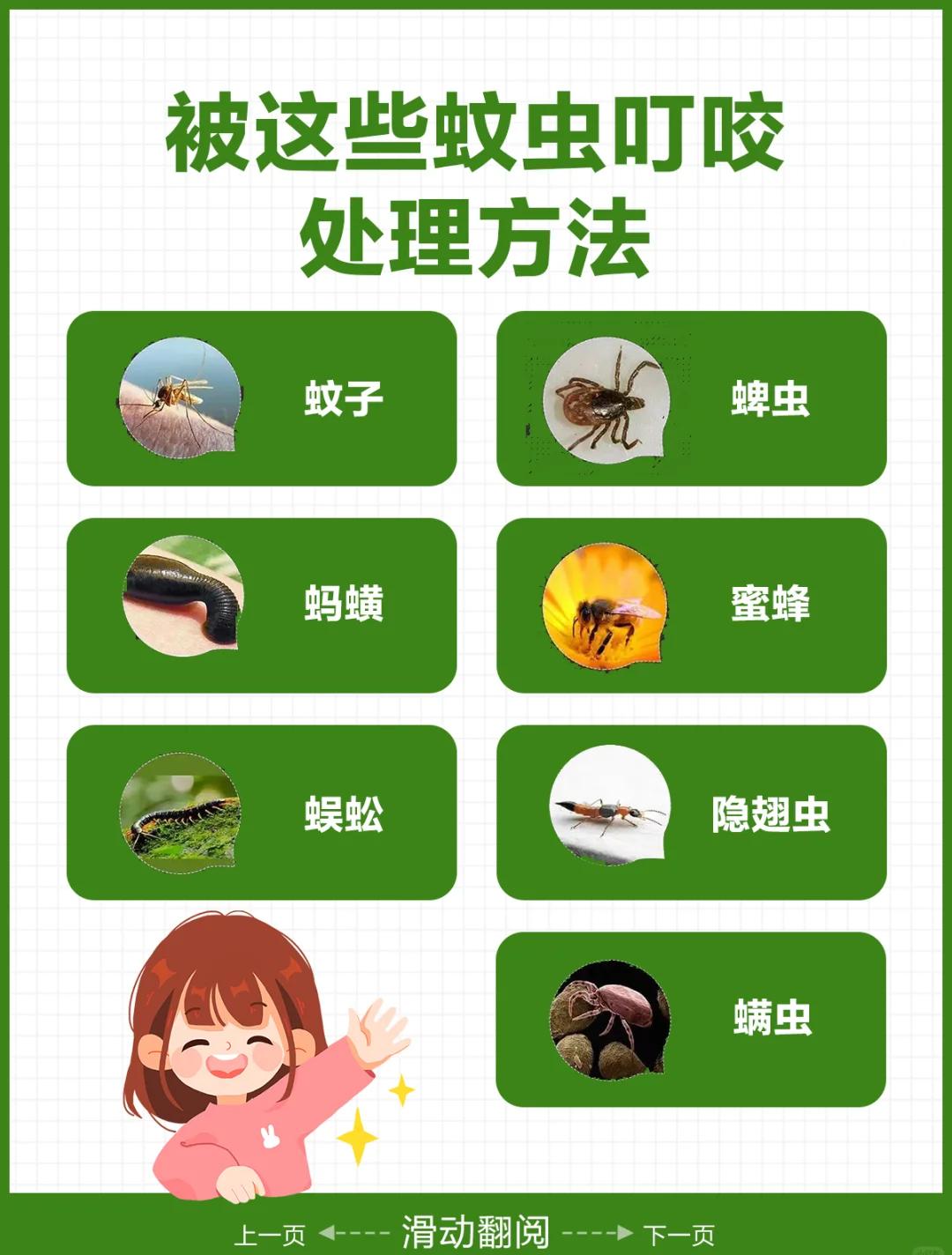 怎么样才不会被蚊子咬?