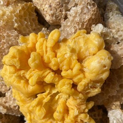 在家蜂蜡怎么熬制蜂蜜