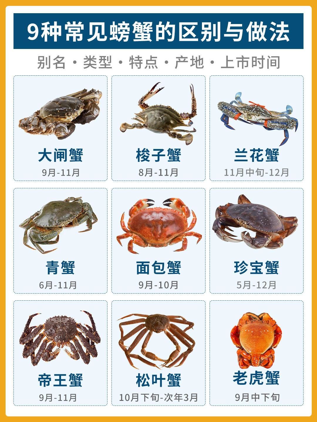 螃蟹怎么养殖在家里