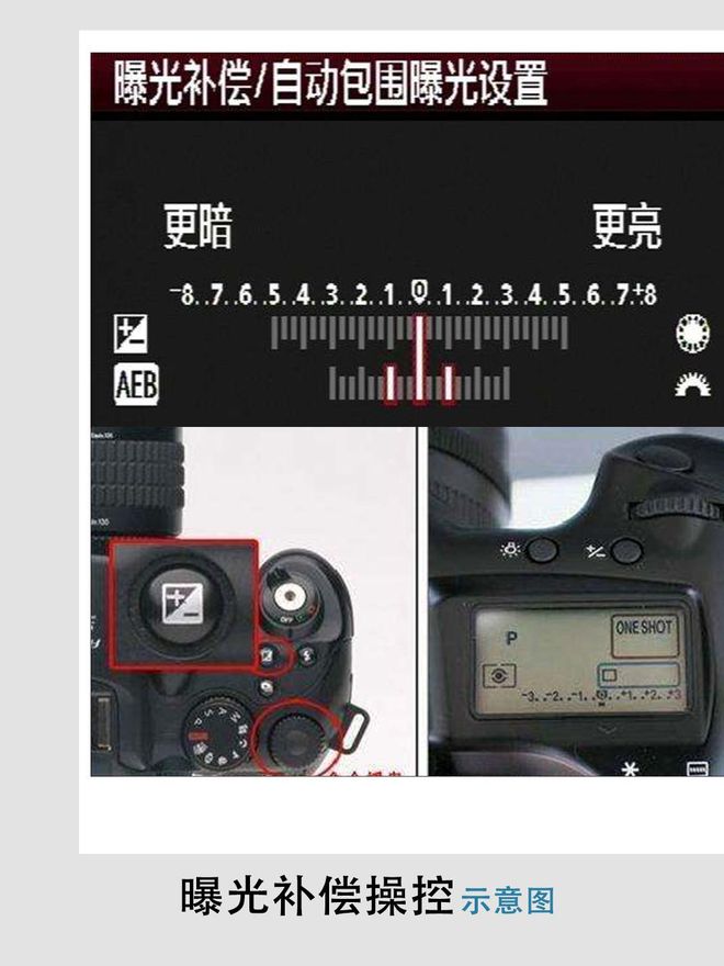 闲鱼曝光是什么意思