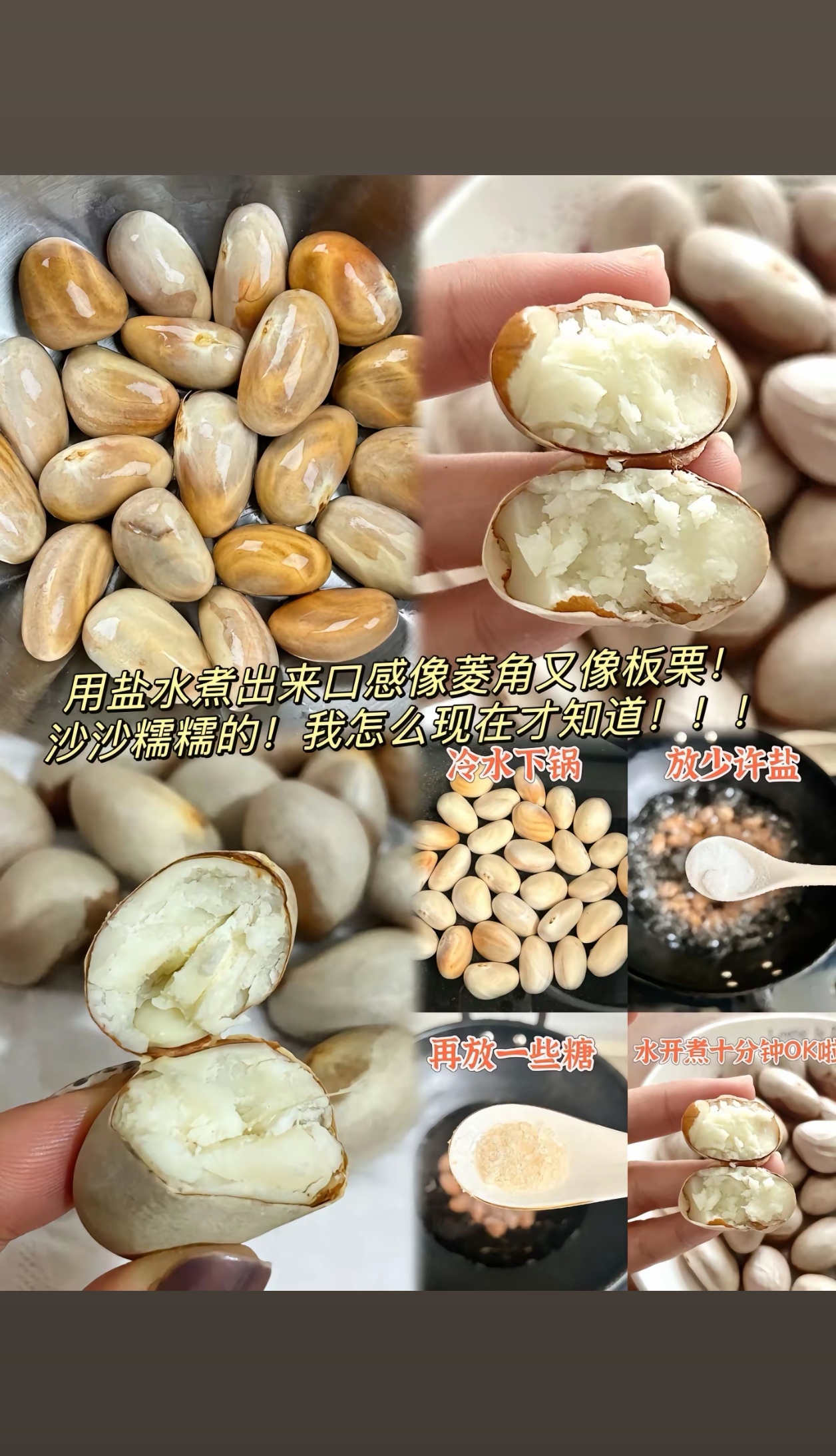 菠萝蜜的核能不能吃?有没有毒?