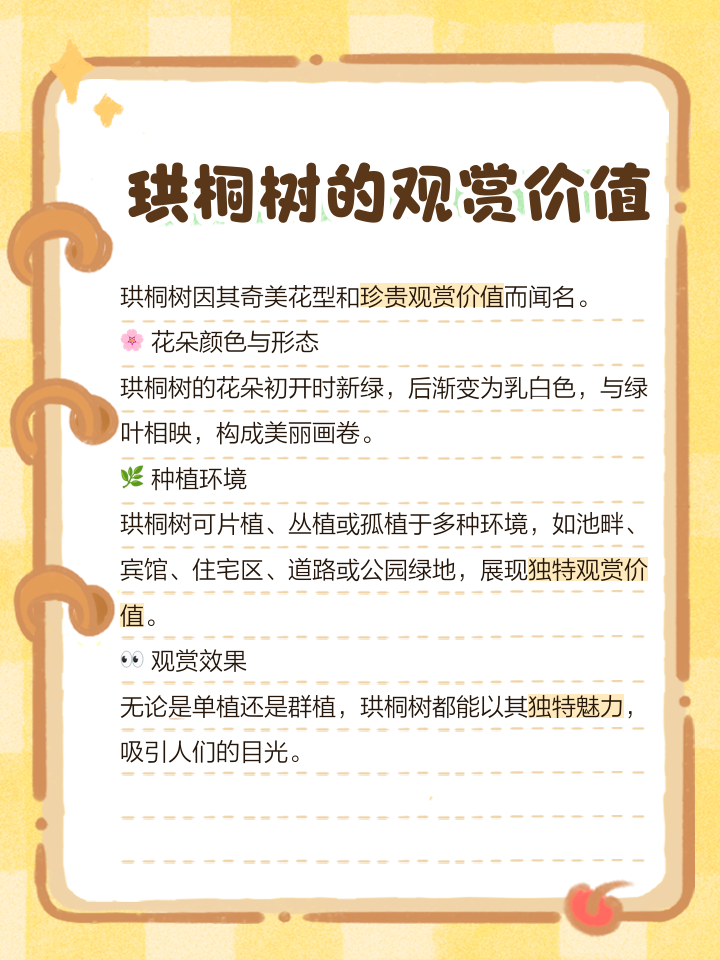 雨桐名字寓意和象征