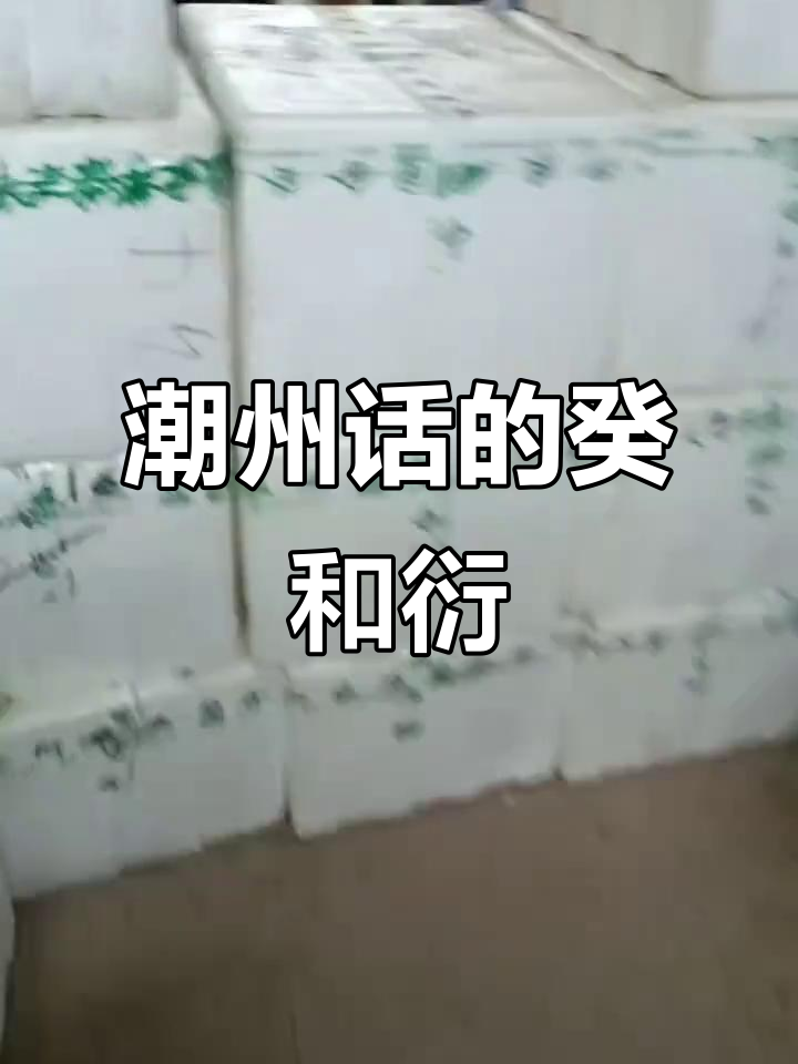 昕的潮汕话怎么读