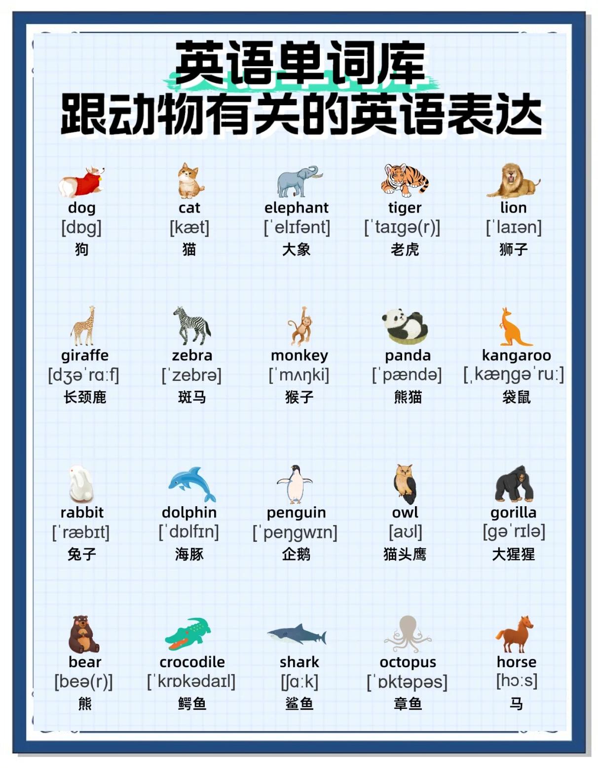 企鹅的英语单词怎么读,怎么写?