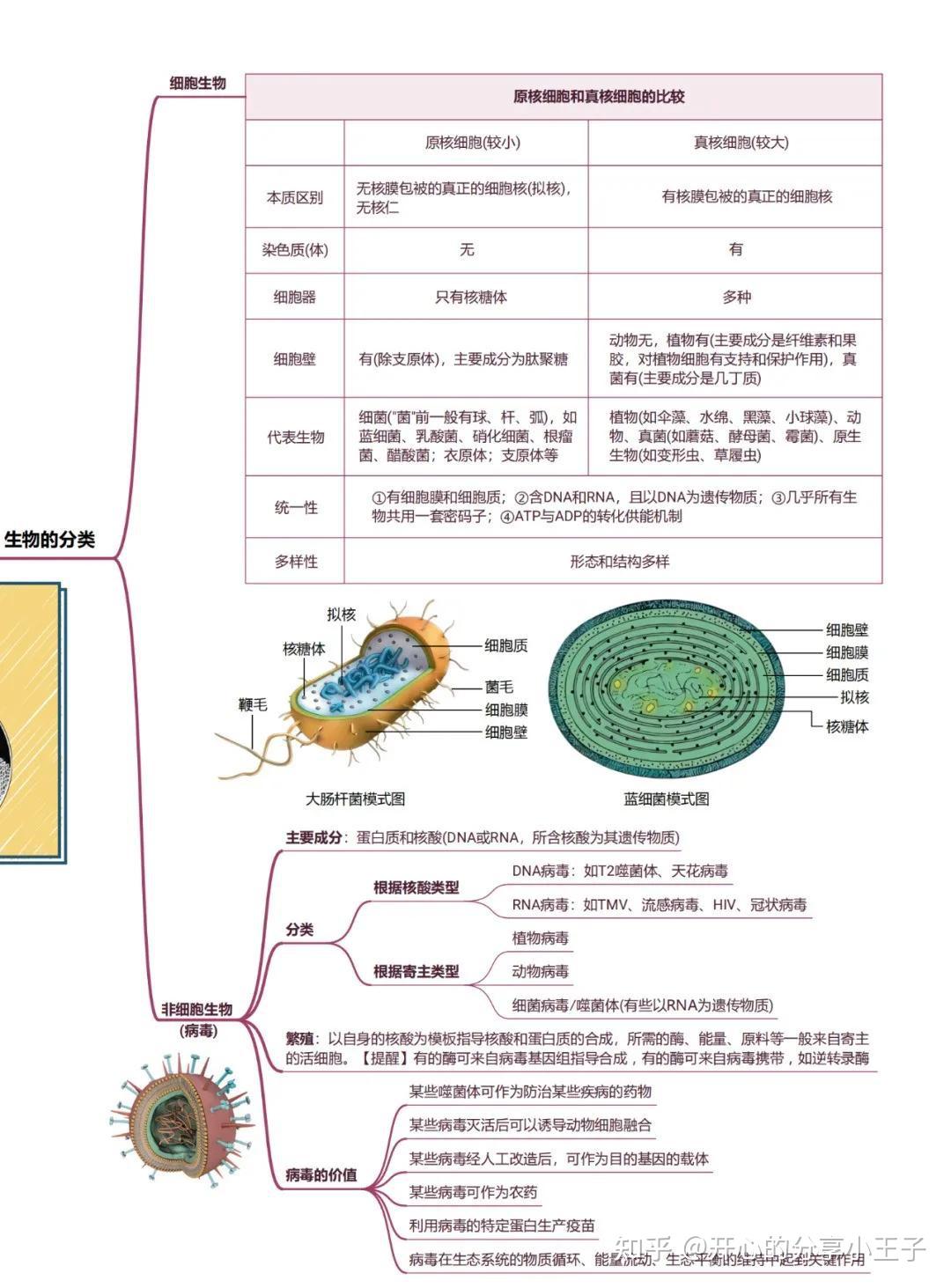 高中生如何学好生物