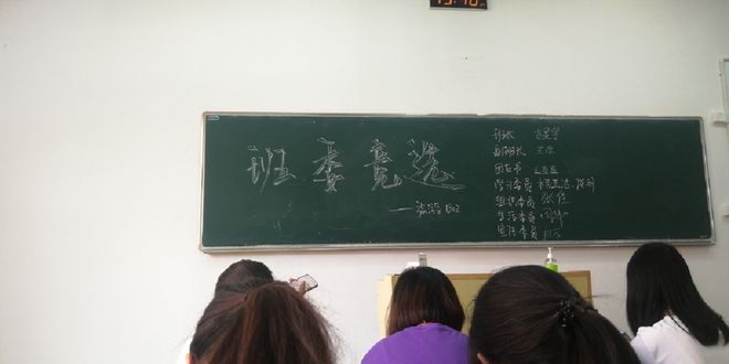 大学生班级组织委员申请书