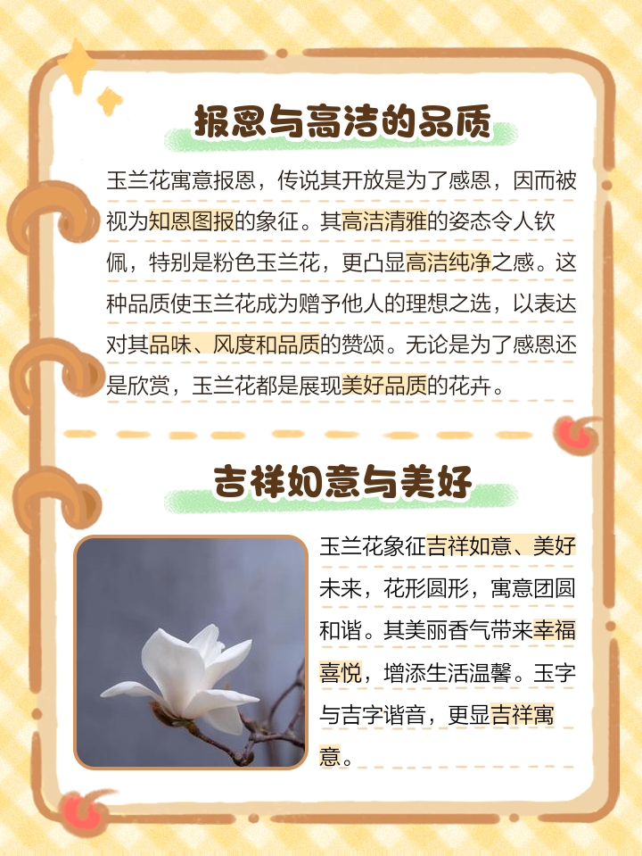 玉树开花有什么寓意吗