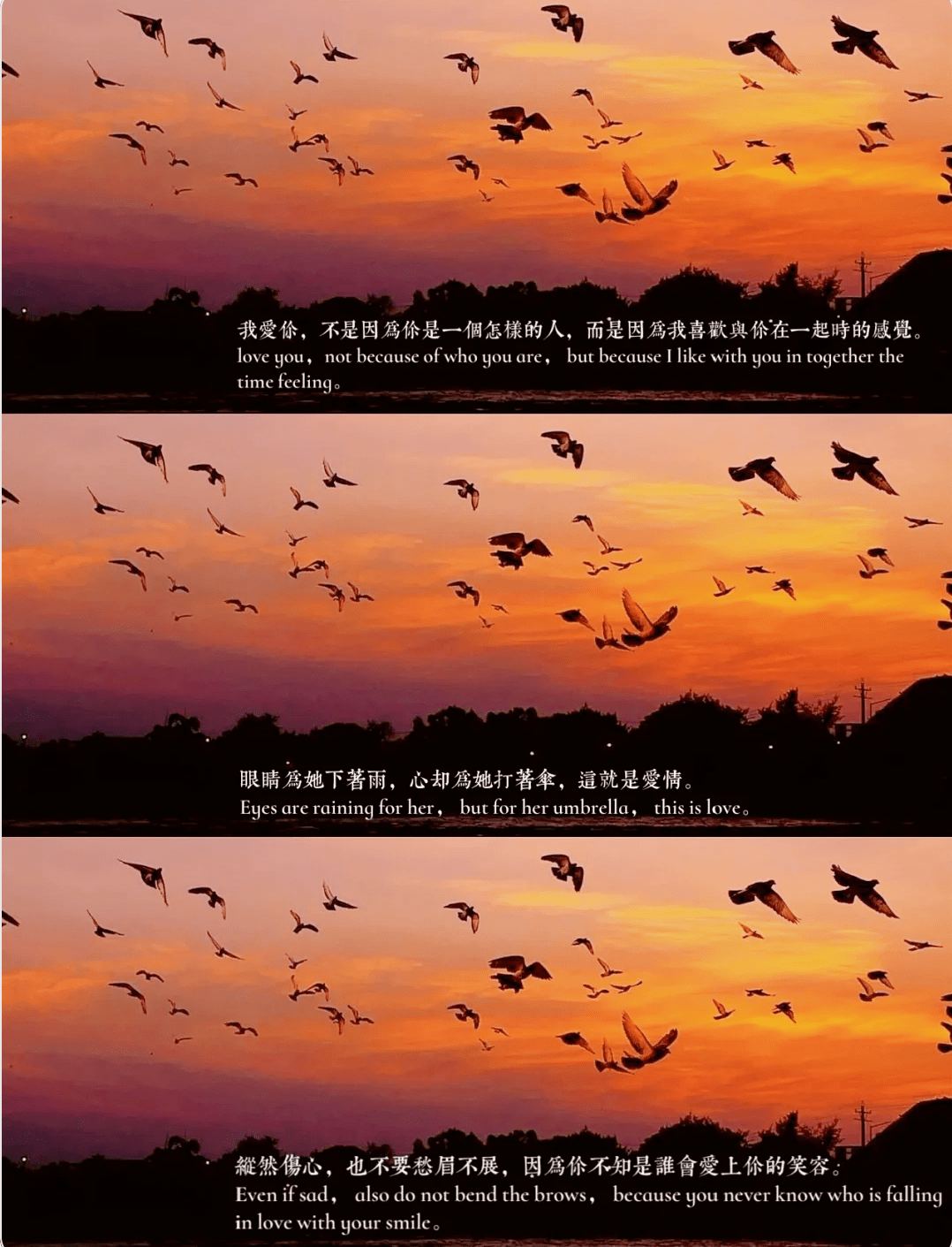 生如夏花之绚烂 死如秋叶之静美的解释