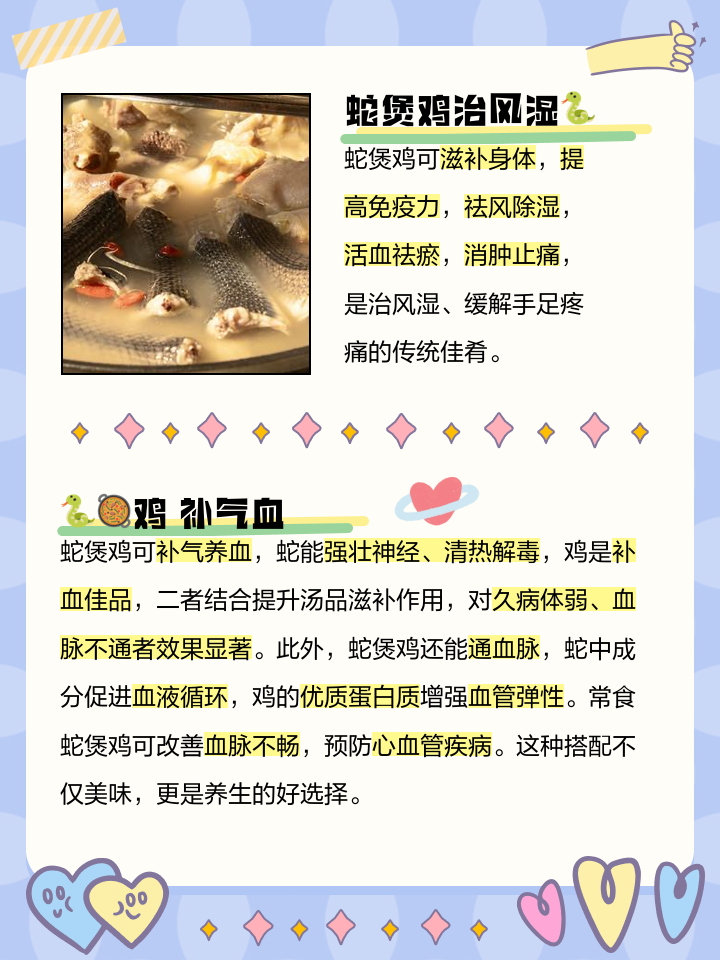 蛇肉的功效与禁忌10大