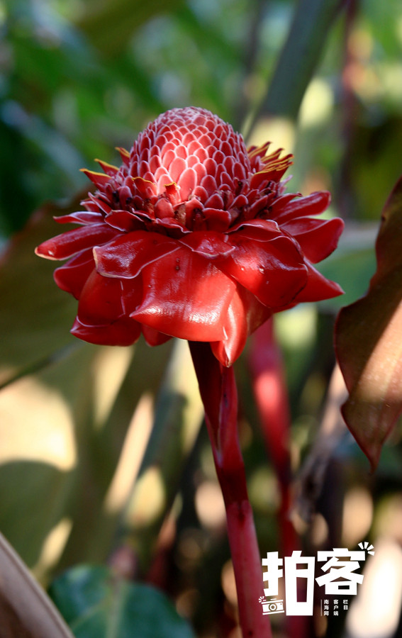 笔记本算pc端还是移动端