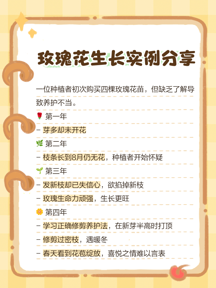 玫瑰花种子怎么种植方法和注意事项