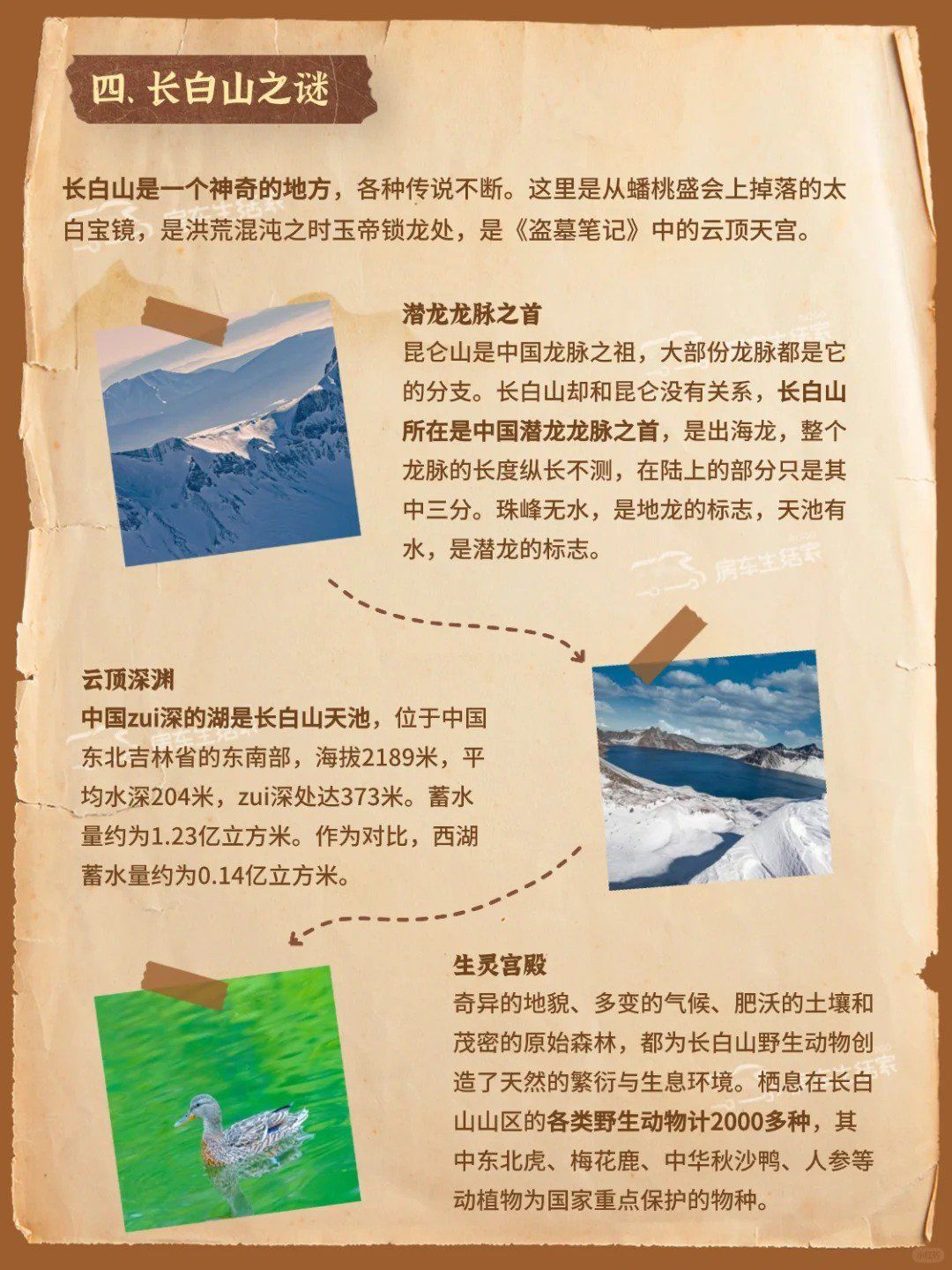 盗墓笔记介绍简写400字