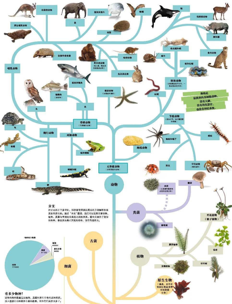 生物多样性保护方式是哪些