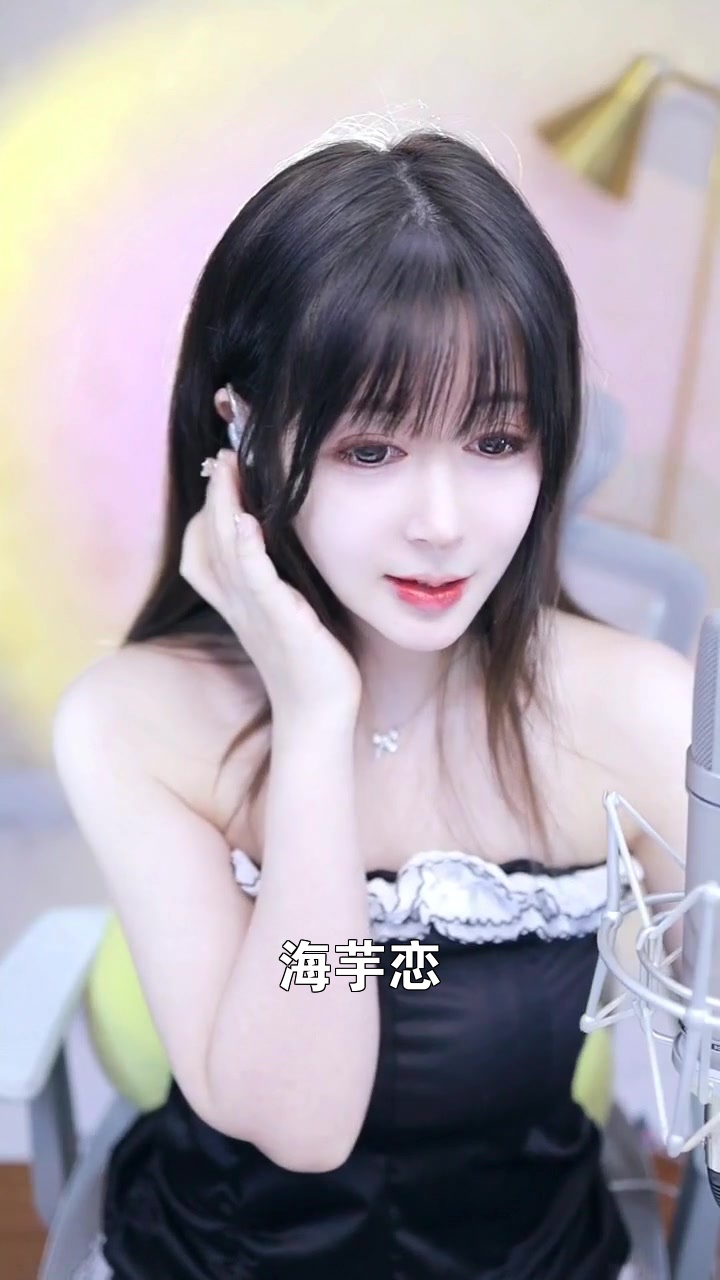 海芋恋歌词全部