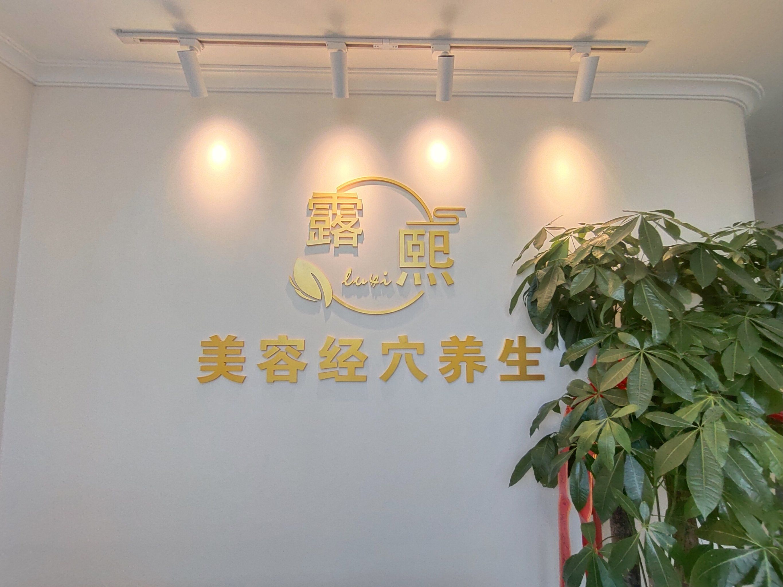 美容院店名大全名字大全免费