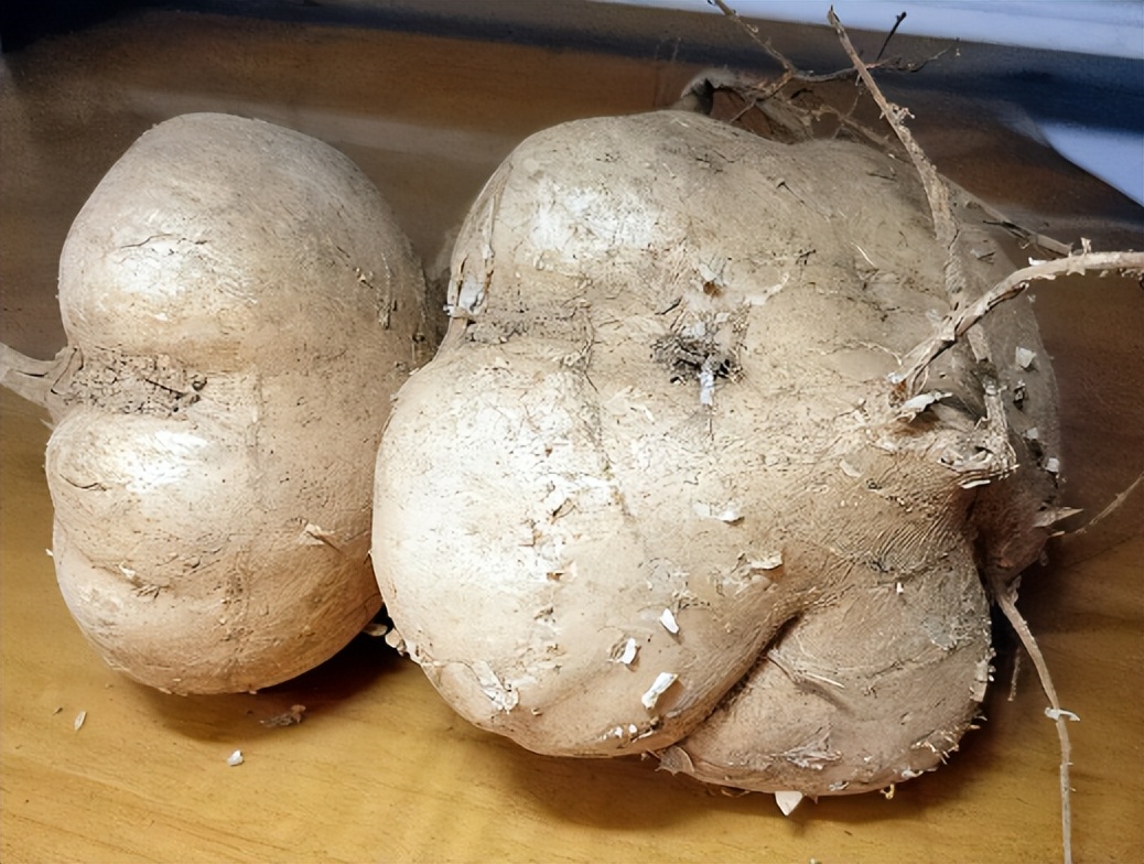 白地瓜怎么吃法