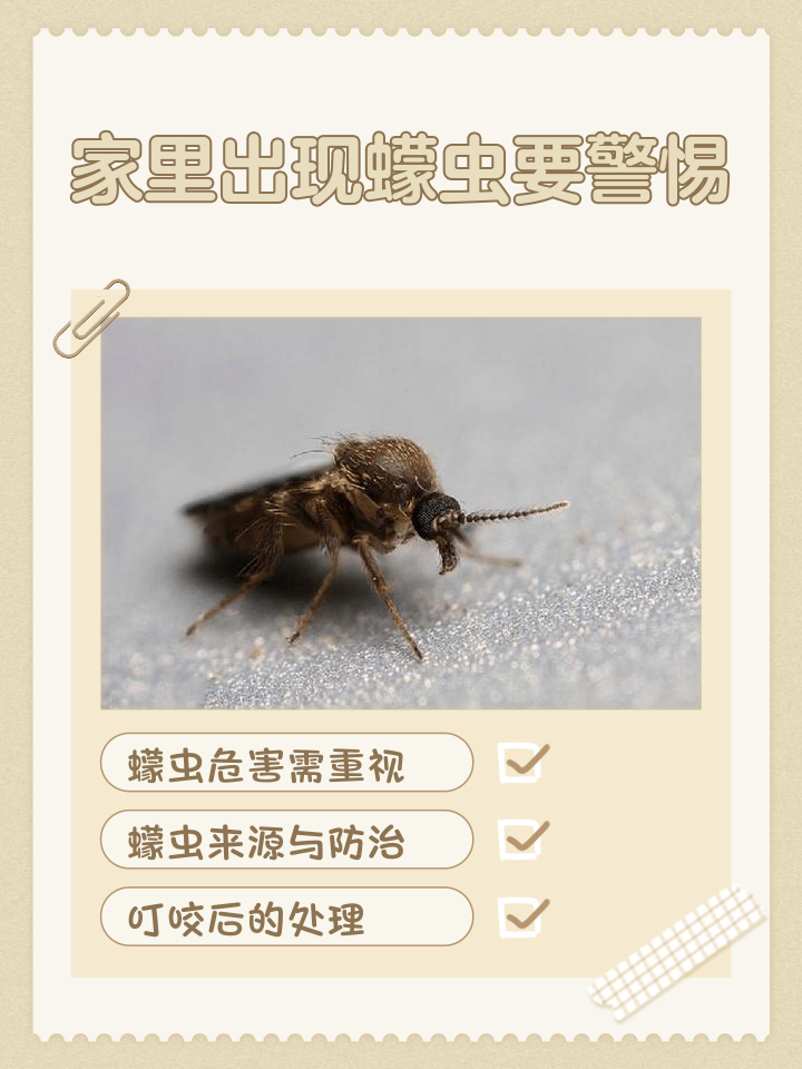 蛲虫最怕什么?