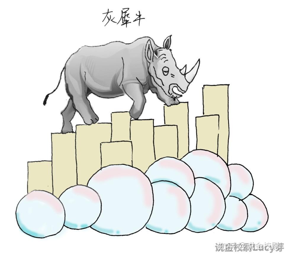 黑天鹅灰犀牛什么意思