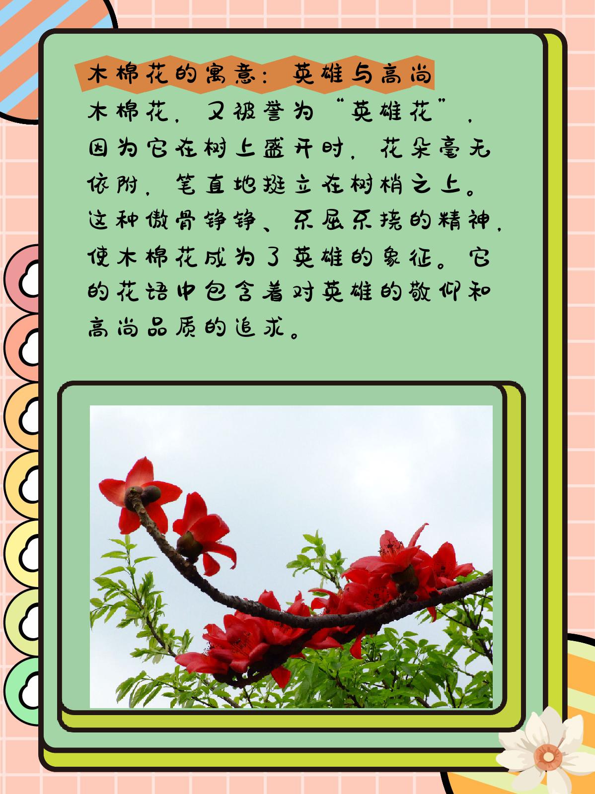 木棉花介绍100字左右