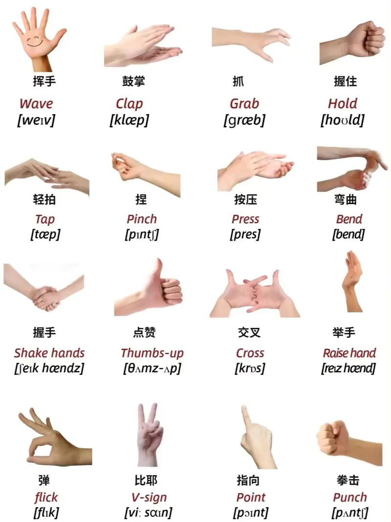 手指各自的名字