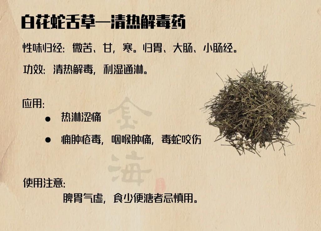 半枝莲白花蛇舌草泡水功效