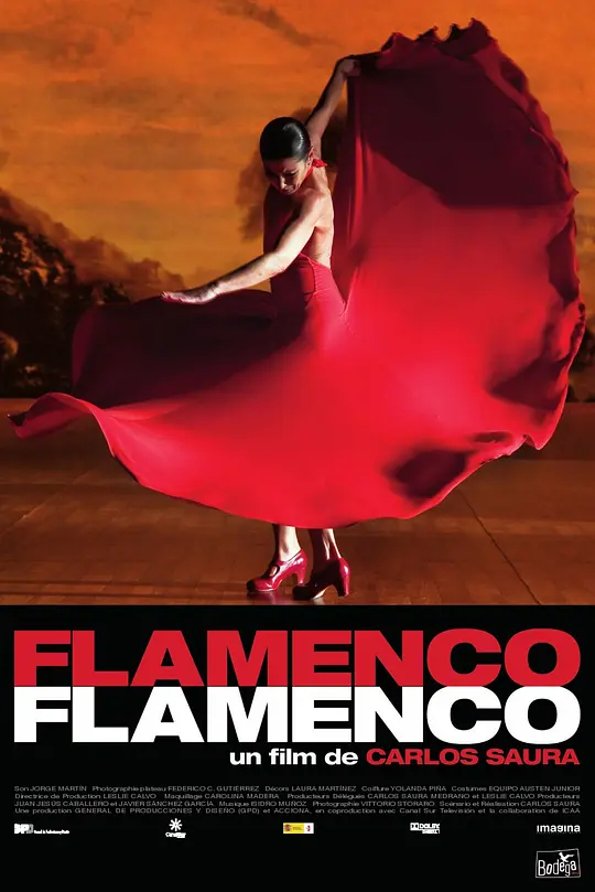 弗拉门戈的意思