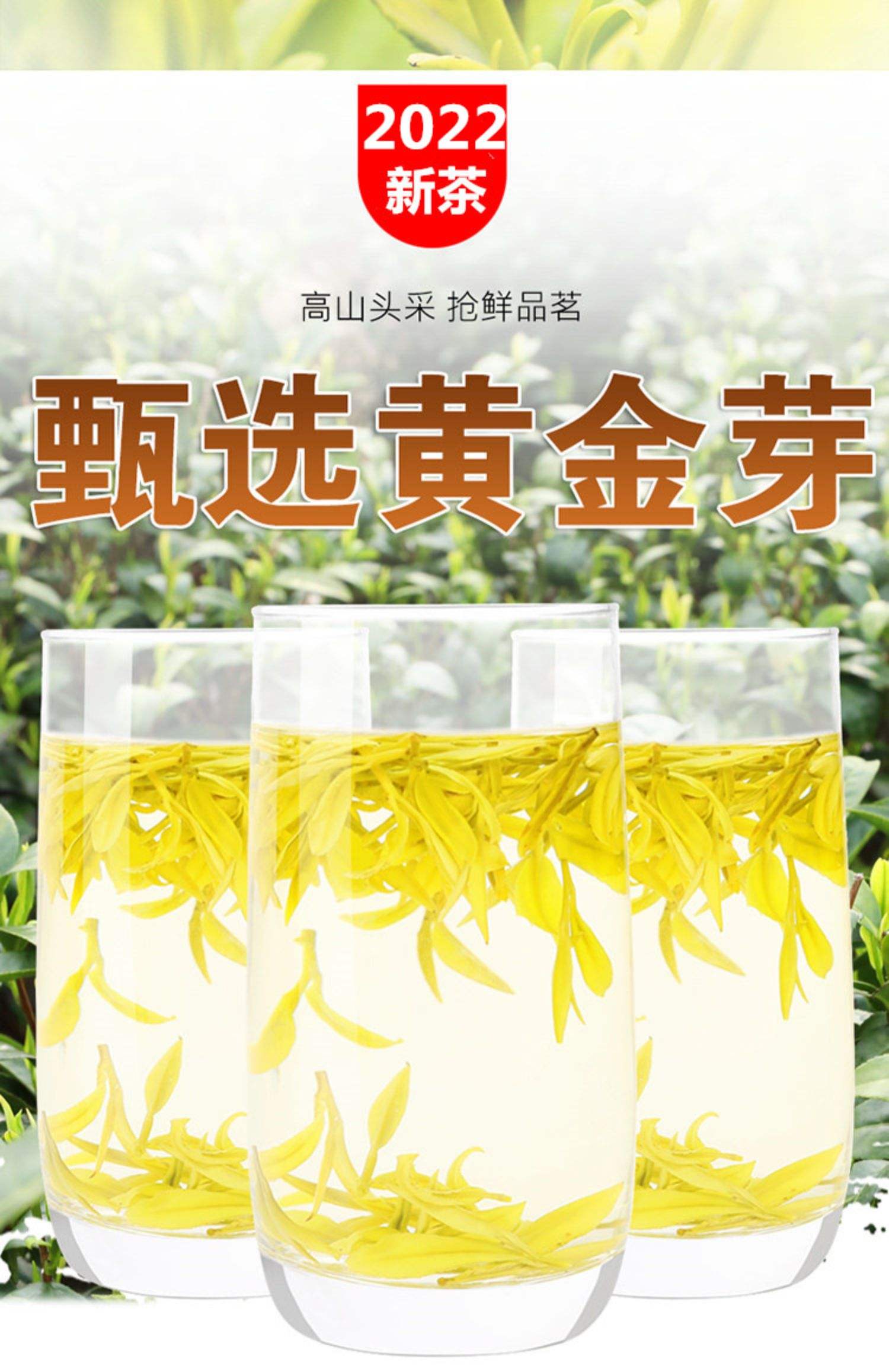 黄金叶和黄金芽茶哪个价格贵