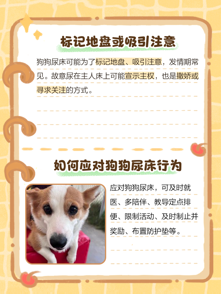 梦见打狗什么预兆周公解梦