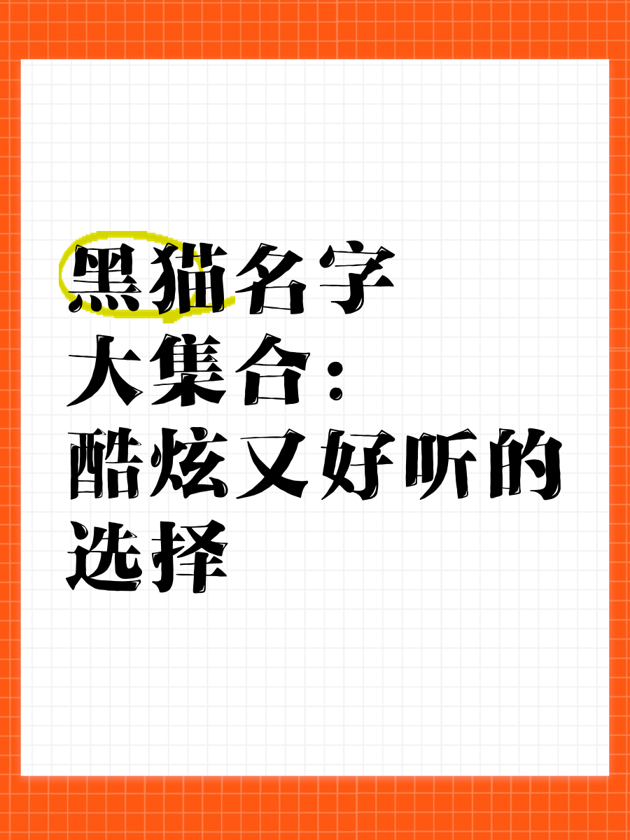 与猫有关好听的网名