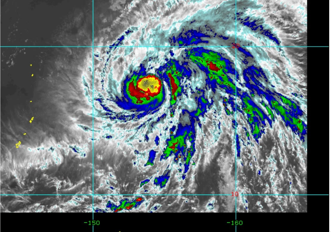 2019年的台风有多少级