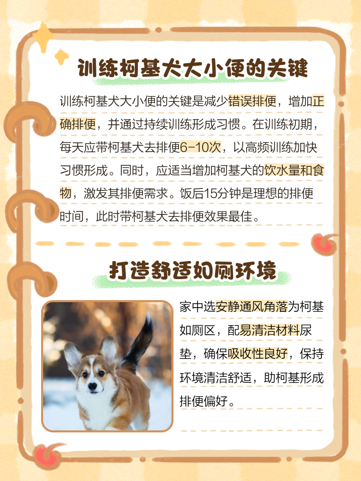 狗狗定点如厕有效方法训练视频教程