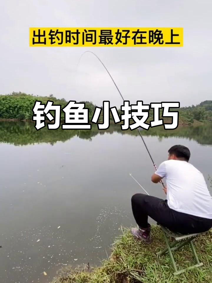 夜钓鲶鱼钓深还是钓浅