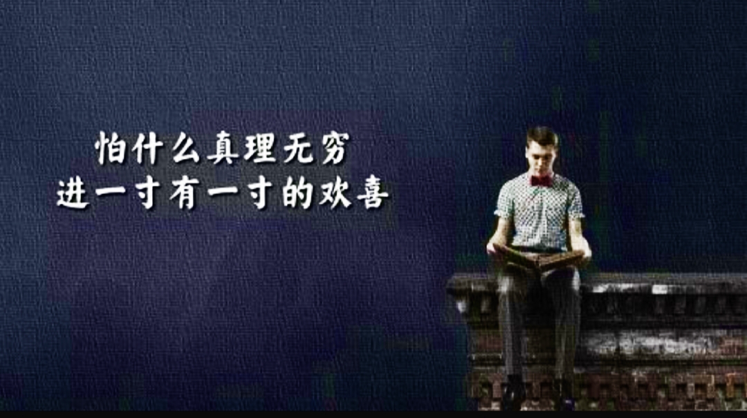 哪怕什么真理无穷,进一寸有进一寸的欢喜