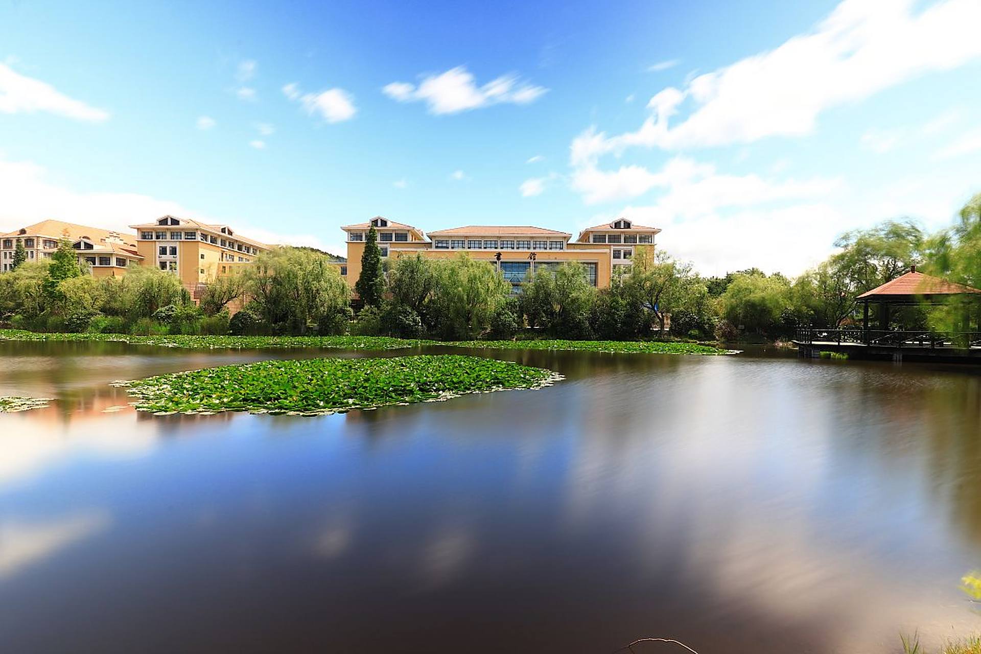 辽宁渤海大学招生办电话