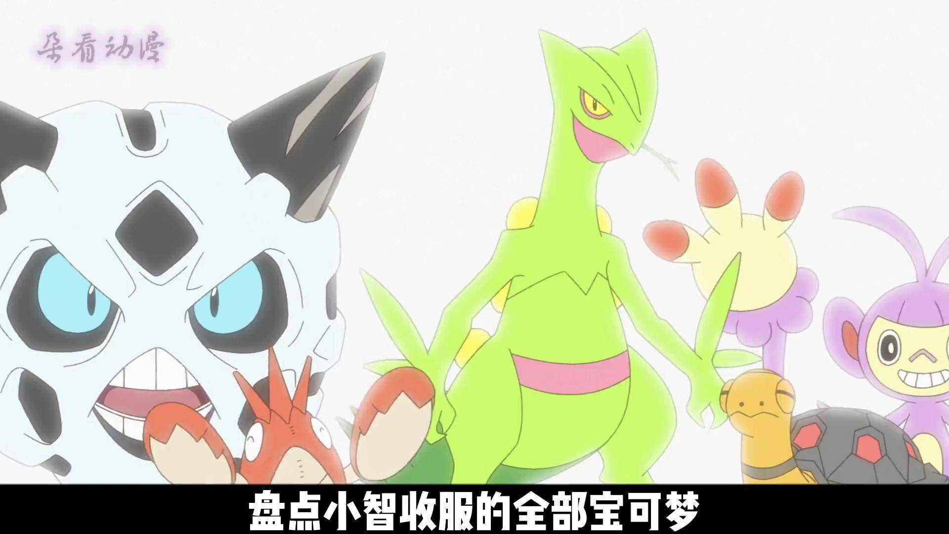 神奇宝贝小智全部精灵