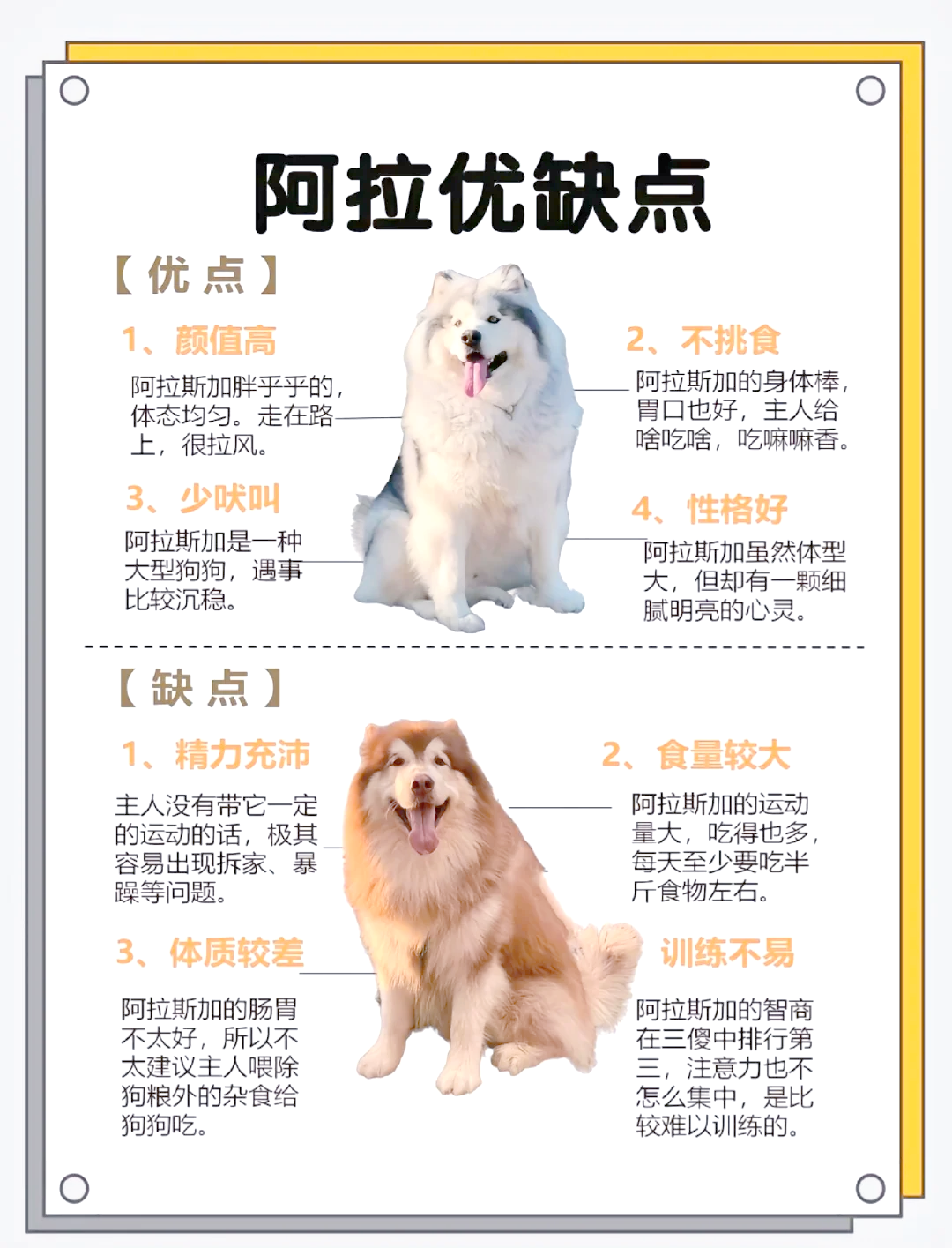 雪橇犬简单介绍50字