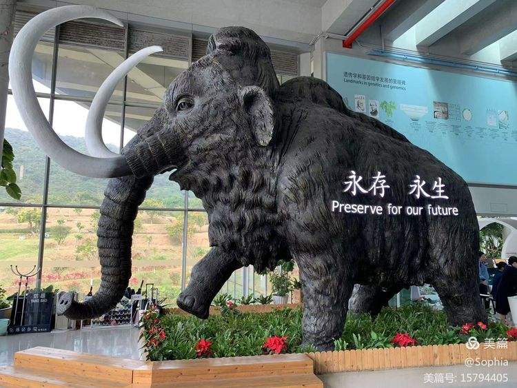 什么是基因库高中知识