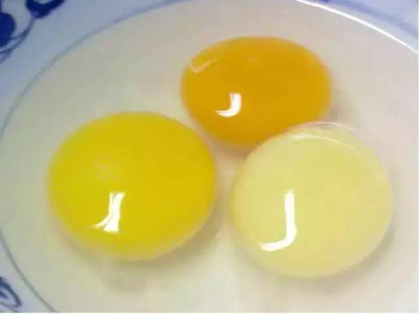 野鸡蛋比家鸡蛋好吗